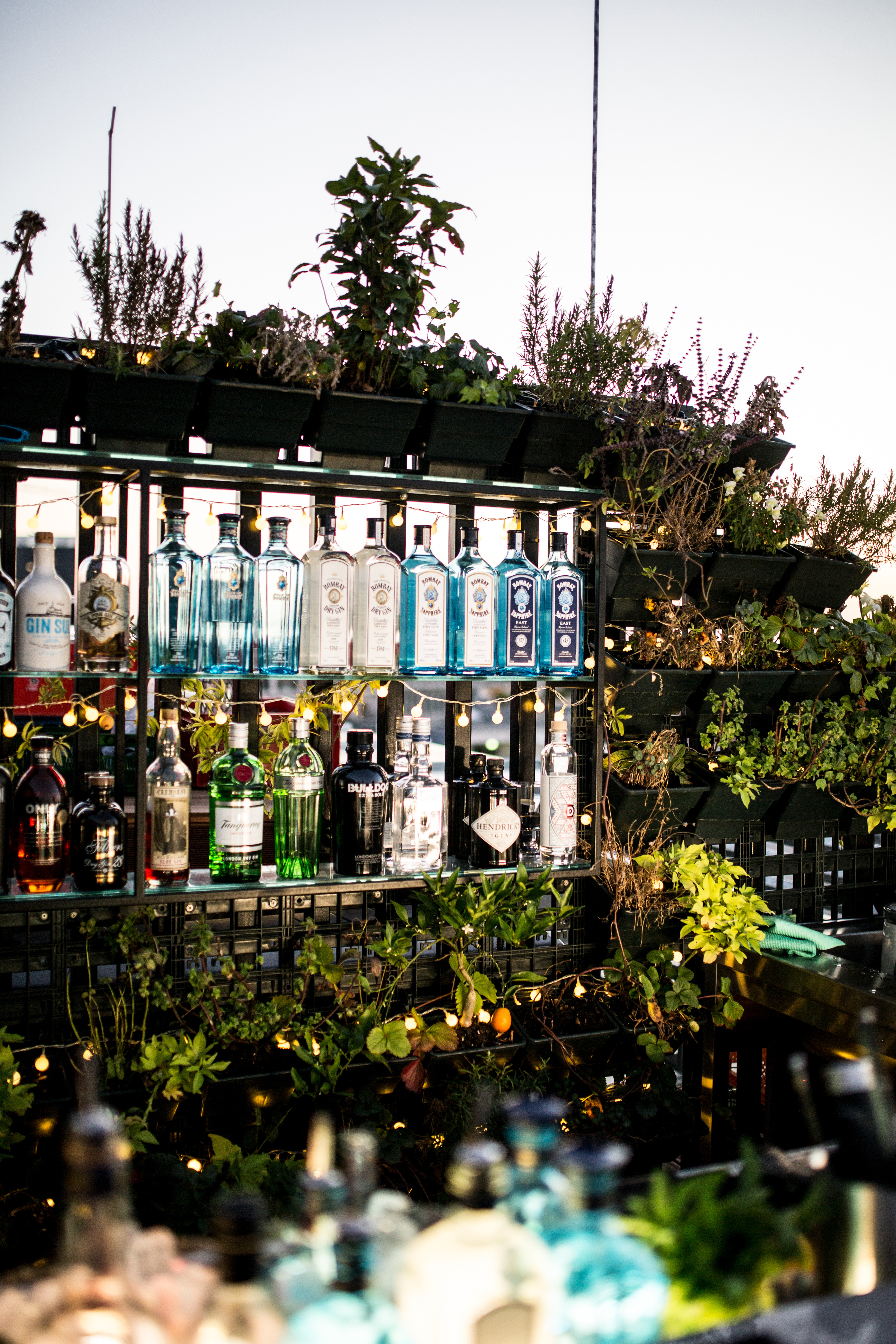 dachterrasse-gin