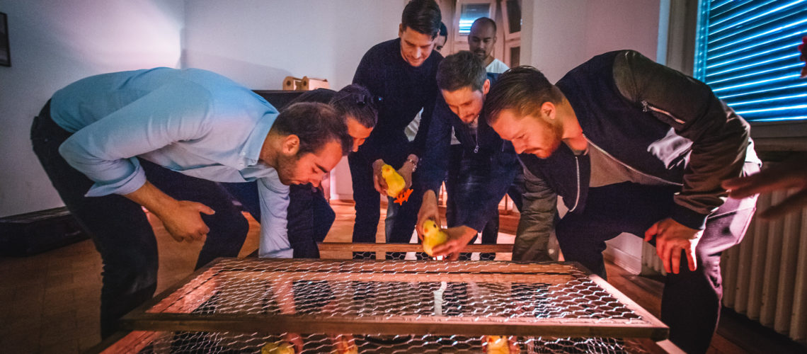 chicken-bingo-shit drink-wette-hühnchen